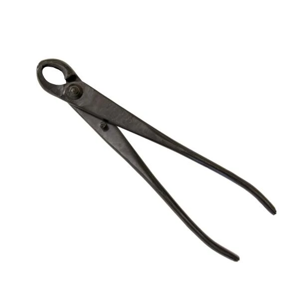 Bonsai Knobbeltang 1 Bonsai Knobbeltang