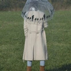 ESSCHERT DESIGN Paraplu Transparant Vogels Op Draad -ESSCHERT DESIGN Winkel 1583744711 4 600