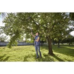 Takkenschaar Starcut 160 Plus GARDENA 8 Takkenschaar Starcut 160 Plus GARDENA -ESSCHERT DESIGN Winkel 1606834549 3 600