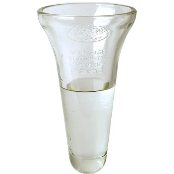 ESSCHERT DESIGN Regenmeter Met Grondpin - Groen 2 ESSCHERT DESIGN Regenmeter Met Grondpin - Groen - Afbeelding 2