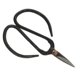 Bonsai Schaar - Small