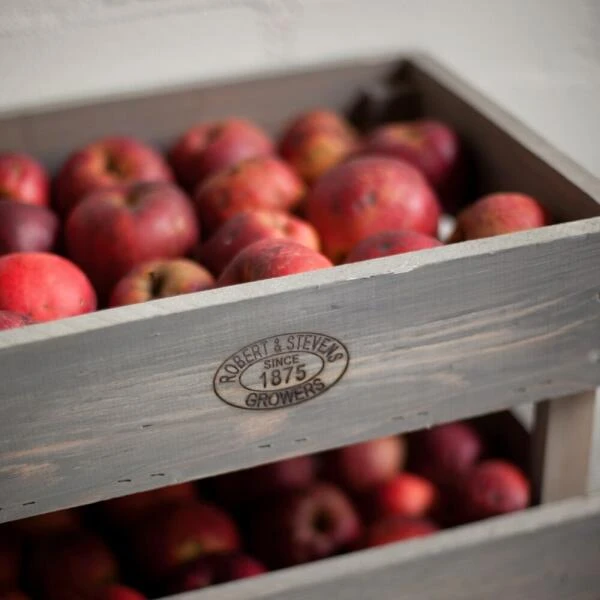 ESSCHERT DESIGN Opslag Krat Stapelbaar M - Set Van 1 Stuks 2 ESSCHERT DESIGN Opslag Krat Stapelbaar M - Set Van 1 Stuks - Afbeelding 2