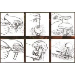 ESSCHERT DESIGN Paddenstoelenmes -ESSCHERT DESIGN Winkel paddenstoelenmes 1484053684 2 600