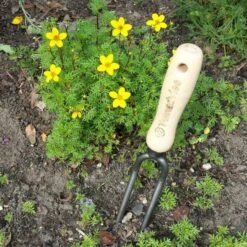 Wiedvork Twee Tanden Gesmeed - 28 Cm -ESSCHERT DESIGN Winkel wiedvork gesmeed 28 cm 1484057784 2 600