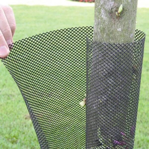 Boombescherming Gaas 55 Cm - Set Van 5 Stuks 1 Boombescherming Gaas 55 Cm - Set Van 5 Stuks