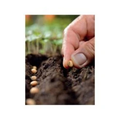 ESSCHERT DESIGN Winkel -ESSCHERT DESIGN Winkel zaairijentrekker 5 regelbare tanden z st 1606746613 1 600